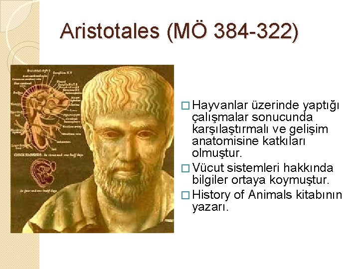 Aristotales (MÖ 384 -322) � Hayvanlar üzerinde yaptığı çalışmalar sonucunda karşılaştırmalı ve gelişim anatomisine