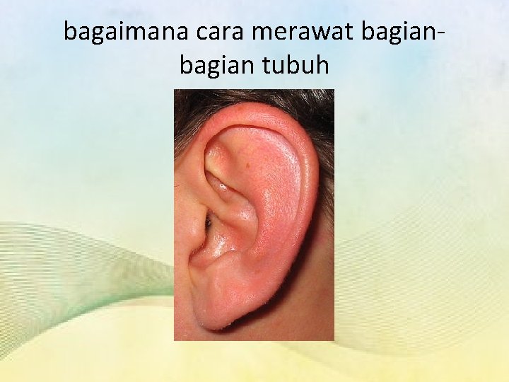 bagaimana cara merawat bagian tubuh 