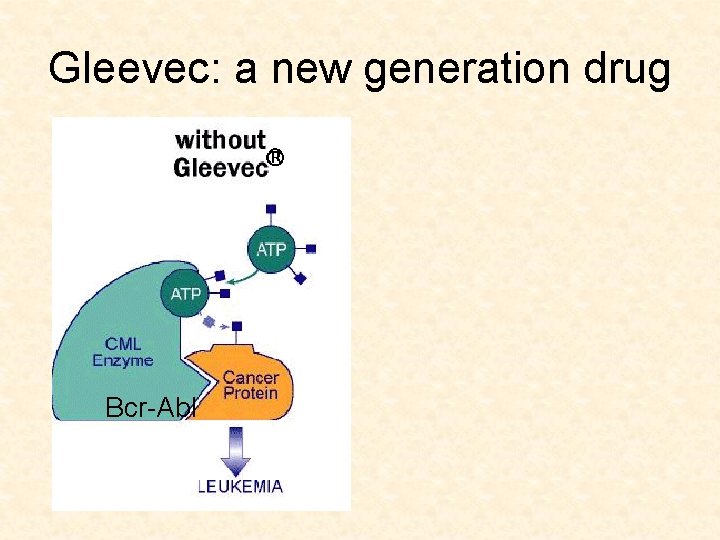 Gleevec: a new generation drug Bcr-Abl 
