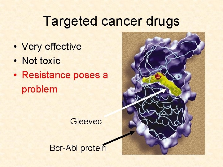 Targeted cancer drugs • Very effective • Not toxic • Resistance poses a problem