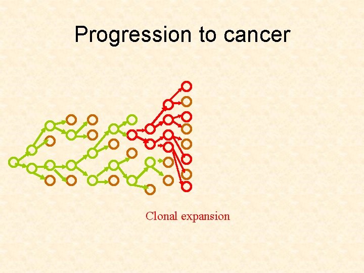 Progression to cancer Clonal expansion 