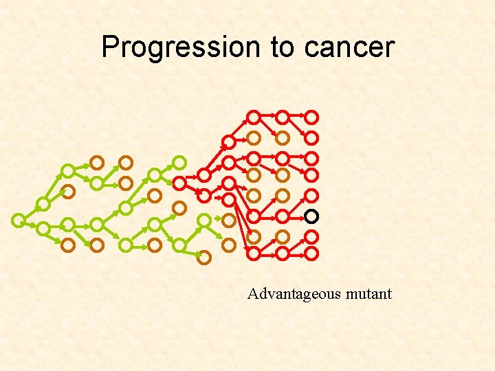 Progression to cancer Advantageous mutant 