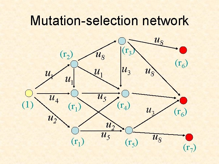 Mutation-selection network (r 2) u 8 (r 3) u 8 (1) u 2 (r