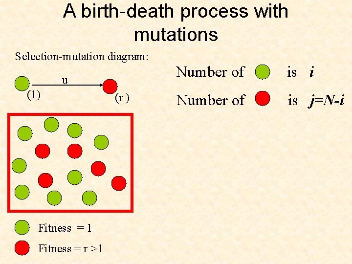 A birth-death process with mutations Selection-mutation diagram: u (1) Fitness = 1 Fitness =