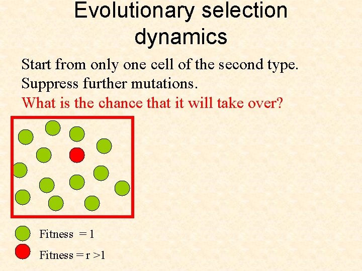 Evolutionary selection dynamics Start from only one cell of the second type. Suppress further