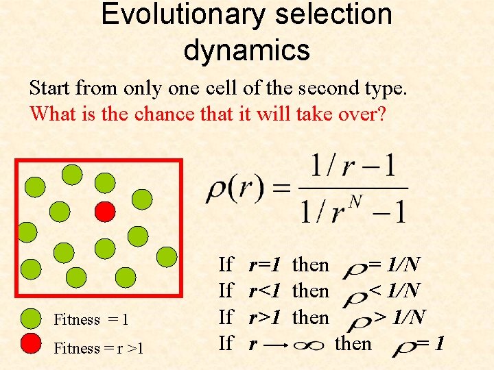 Evolutionary selection dynamics Start from only one cell of the second type. What is