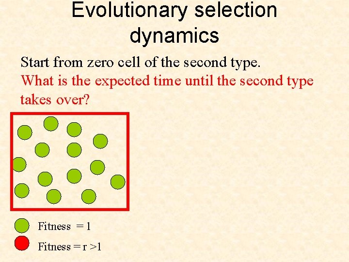 Evolutionary selection dynamics Start from zero cell of the second type. What is the