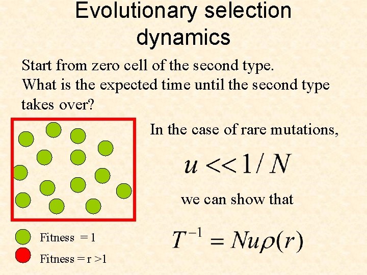 Evolutionary selection dynamics Start from zero cell of the second type. What is the