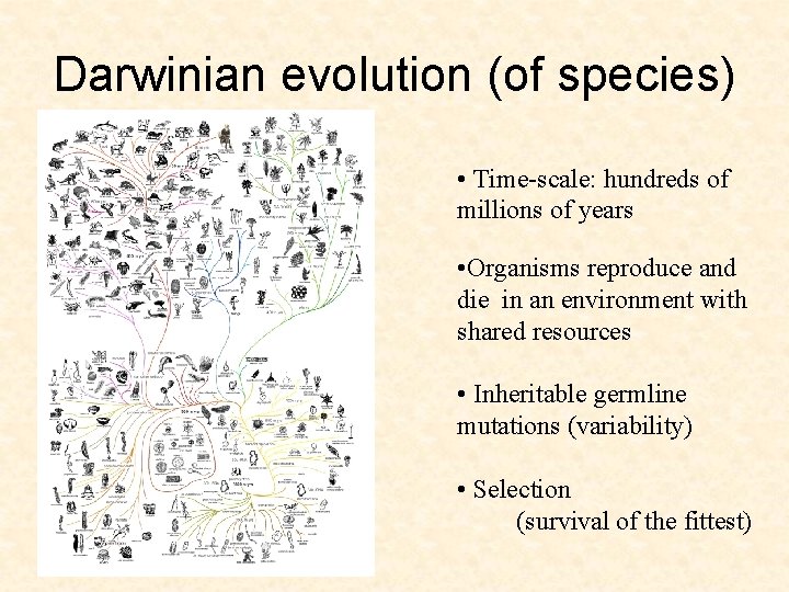 Darwinian evolution (of species) • Time-scale: hundreds of millions of years • Organisms reproduce