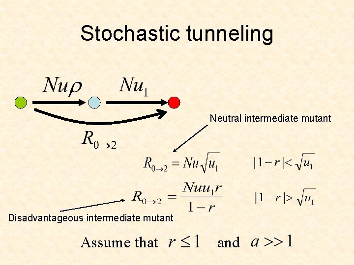 Stochastic tunneling Neutral intermediate mutant Disadvantageous intermediate mutant Assume that and 