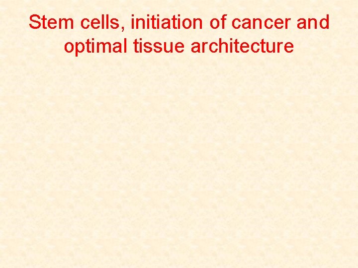 Stem cells, initiation of cancer and optimal tissue architecture 