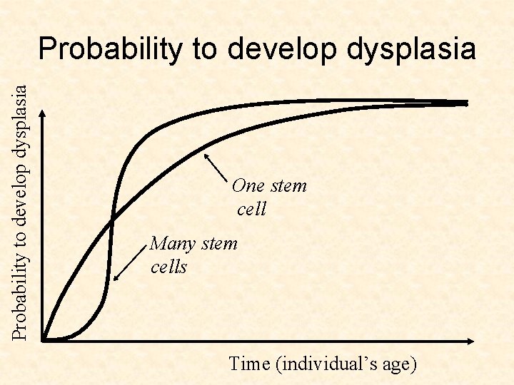 Probability to develop dysplasia One stem cell Many stem cells Time (individual’s age) 