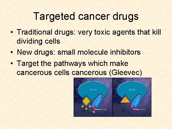 Targeted cancer drugs • Traditional drugs: very toxic agents that kill dividing cells •