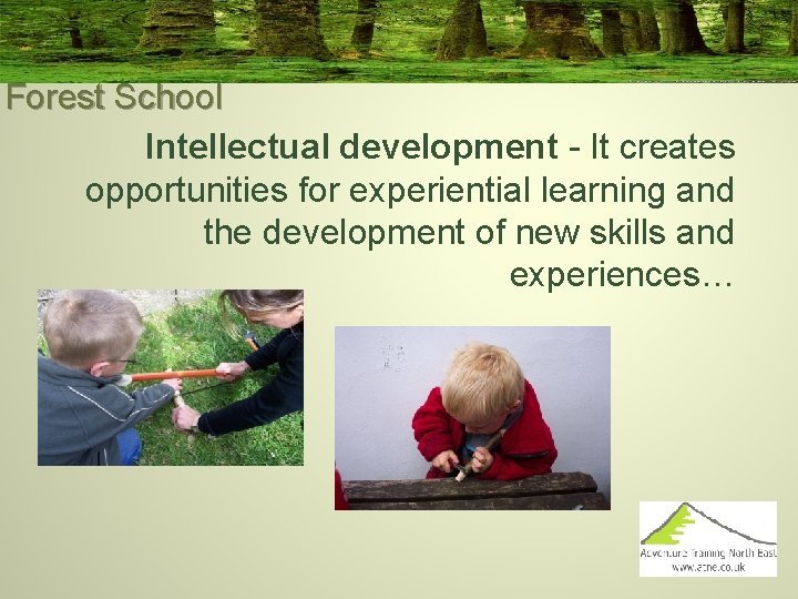 Forest School Intellectual development - It creates opportunities for experiential learning and the development