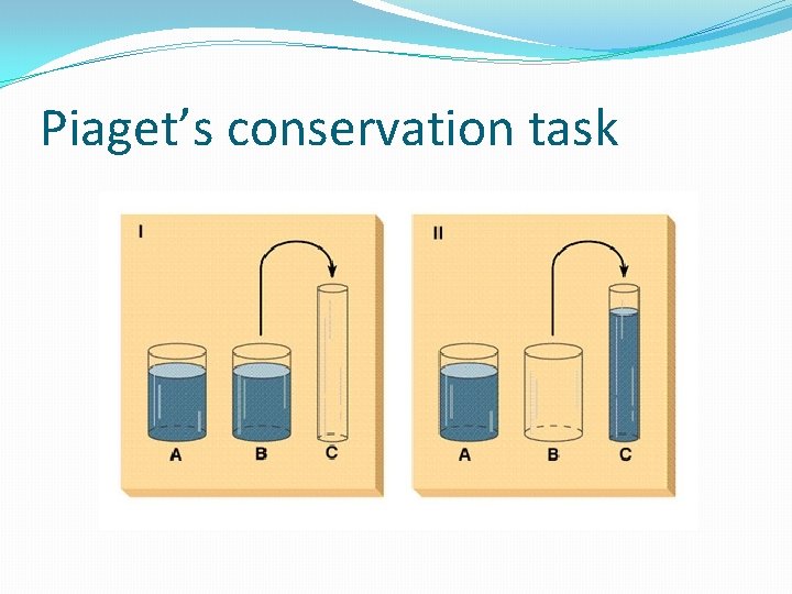 Piaget’s conservation task 