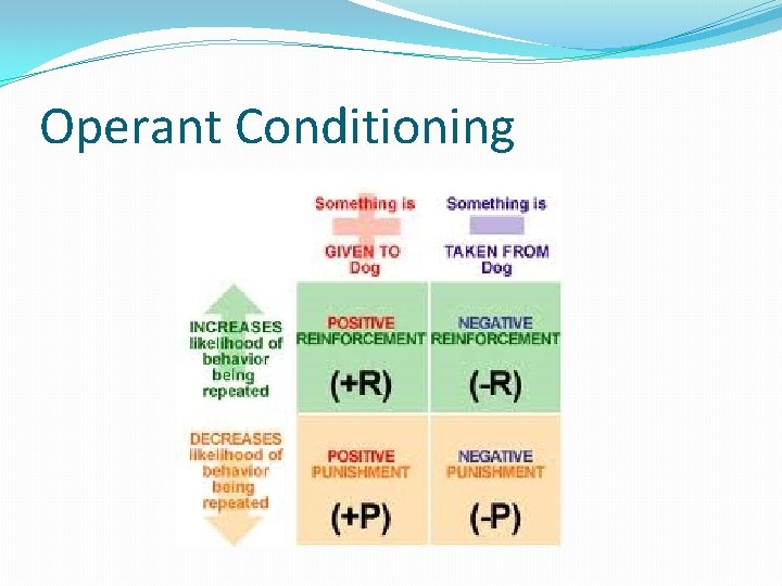 Operant Conditioning 