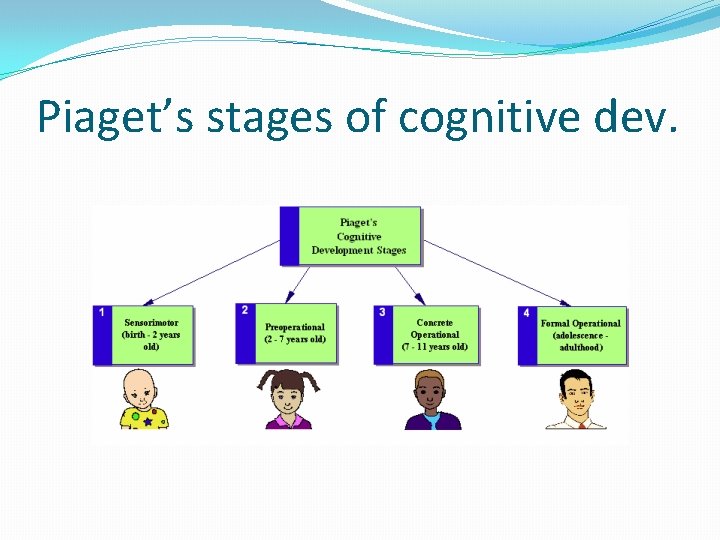 Piaget’s stages of cognitive dev. 