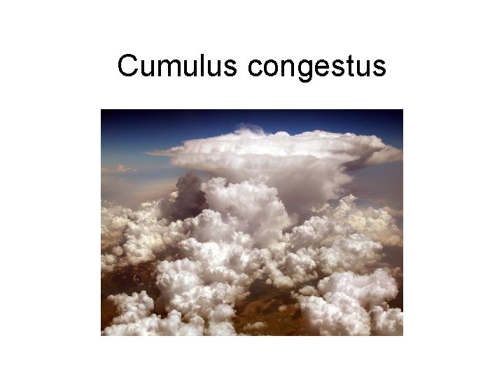 Cumulus congestus 