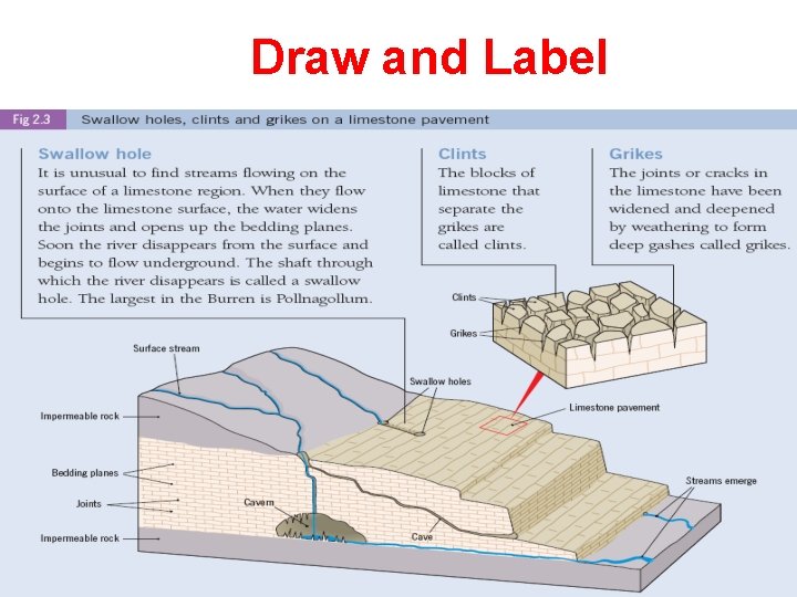 Draw and Label 