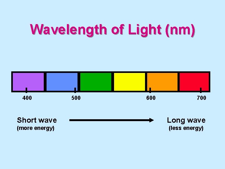 Wavelength of Light (nm) 400 500 600 700 Short wave Long wave (more energy)