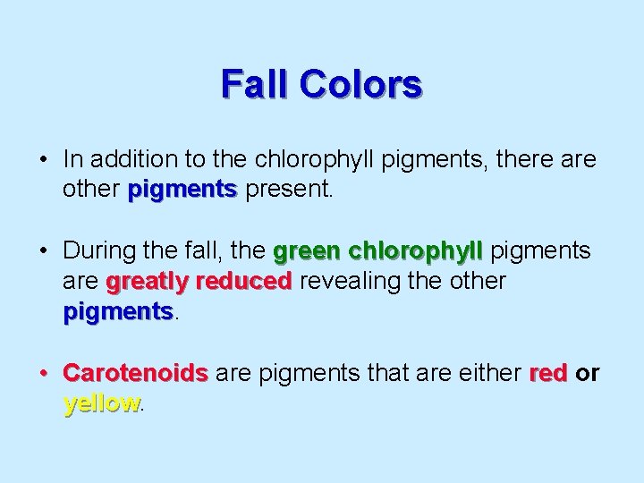 Fall Colors • In addition to the chlorophyll pigments, there are other pigments present.