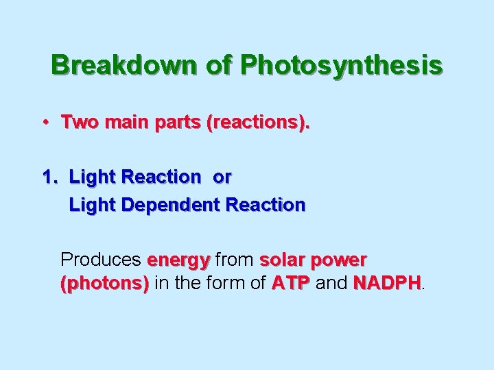 Breakdown of Photosynthesis • Two main parts (reactions). 1. Light Reaction or Light Dependent