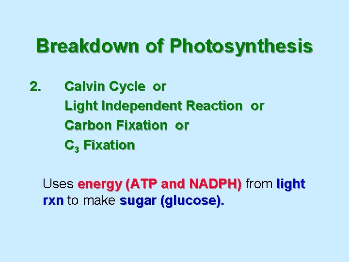 Breakdown of Photosynthesis 2. Calvin Cycle or Light Independent Reaction or Carbon Fixation or