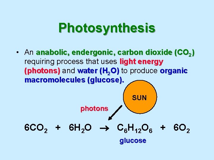 Photosynthesis • An anabolic, endergonic, carbon dioxide (CO 2) requiring process that uses light