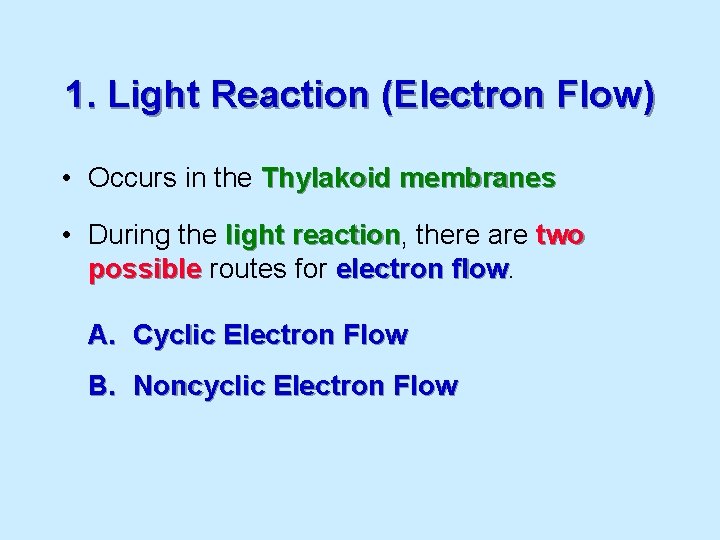 1. Light Reaction (Electron Flow) • Occurs in the Thylakoid membranes • During the