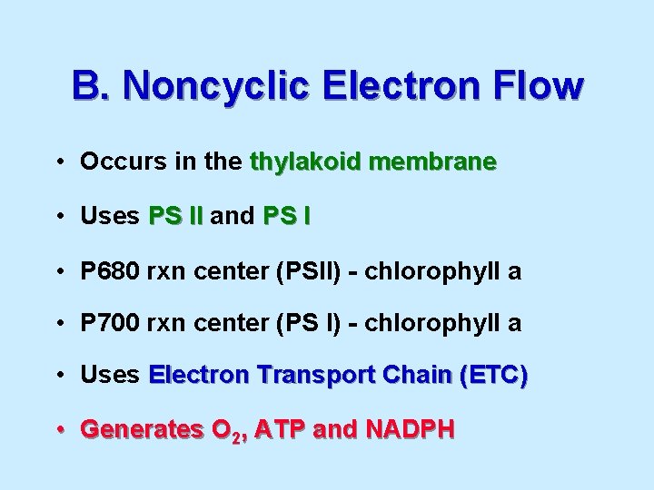 B. Noncyclic Electron Flow • Occurs in the thylakoid membrane • Uses PS II