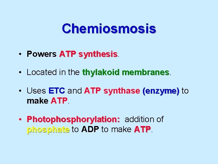 Chemiosmosis • Powers ATP synthesis • Located in the thylakoid membranes • Uses ETC