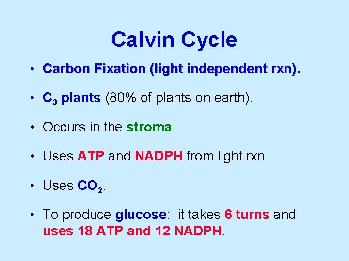 Calvin Cycle • Carbon Fixation (light independent rxn). • C 3 plants (80% of