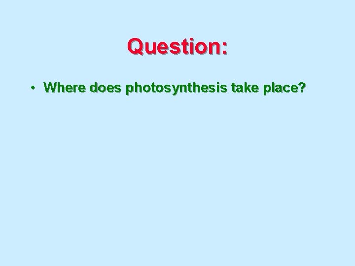 Question: • Where does photosynthesis take place? 