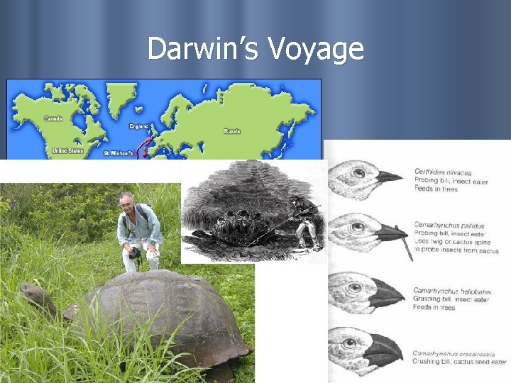 Darwin’s Voyage 