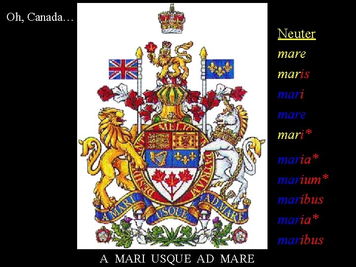 Oh, Canada… Neuter mare maris mari mare mari* maria* marium* maribus maria* maribus A