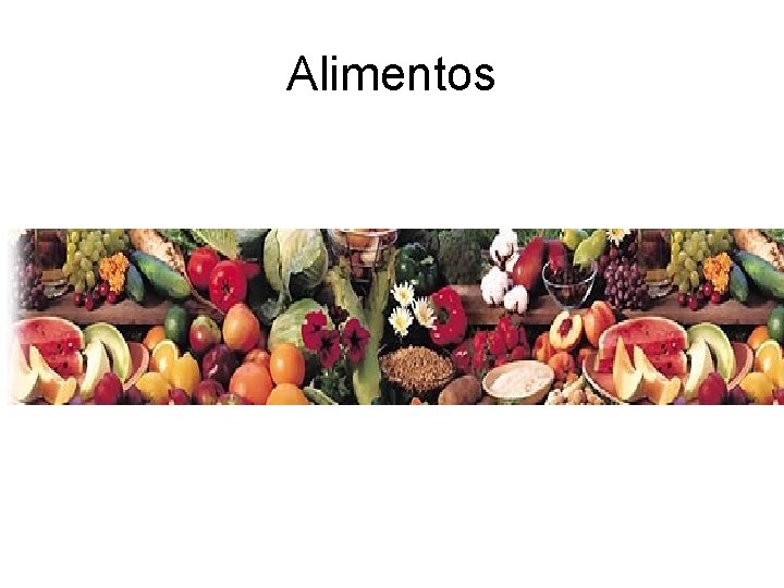 Alimentos 