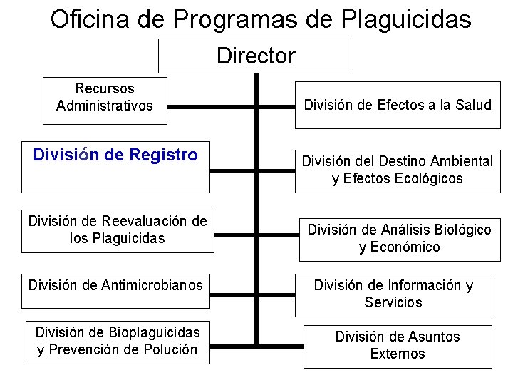 Oficina de Programas de Plaguicidas Director Recursos Administrativos División de Registro División de Reevaluación