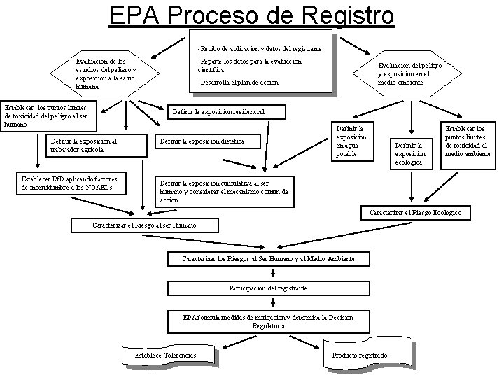 EPA Proceso de Registro -Recibo de aplicacion y datos del registrante -Reparte los datos