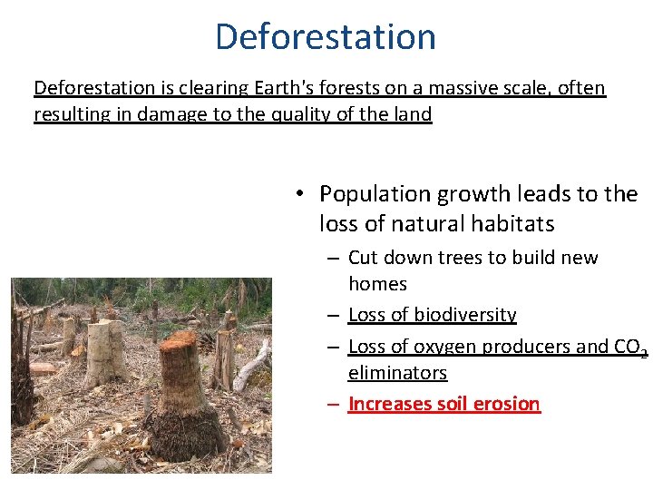 Deforestation is clearing Earth's forests on a massive scale, often resulting in damage to Deforestation is clearing Earth's forests on a massive scale, often resulting in damage to