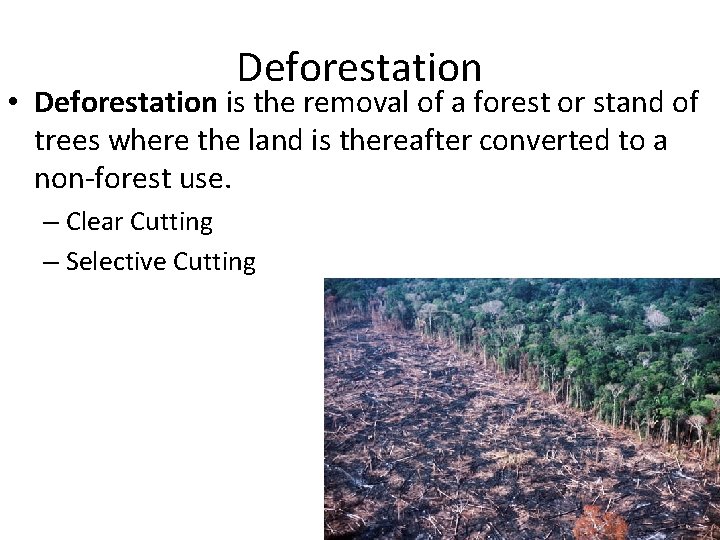 Deforestation • Deforestation is the removal of a forest or stand of trees where Deforestation • Deforestation is the removal of a forest or stand of trees where