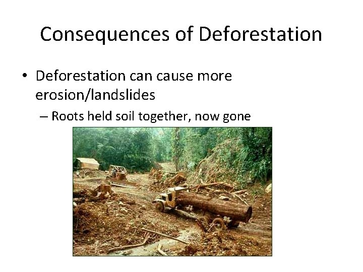 Consequences of Deforestation • Deforestation cause more erosion/landslides – Roots held soil together, now Consequences of Deforestation • Deforestation cause more erosion/landslides – Roots held soil together, now