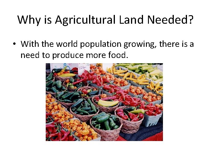 Why is Agricultural Land Needed? • With the world population growing, there is a Why is Agricultural Land Needed? • With the world population growing, there is a