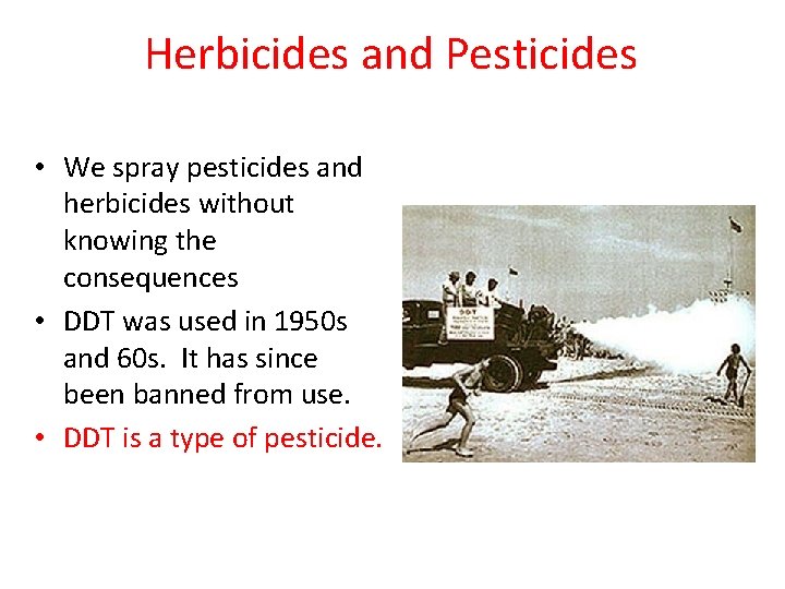 Herbicides and Pesticides • We spray pesticides and herbicides without knowing the consequences • Herbicides and Pesticides • We spray pesticides and herbicides without knowing the consequences •