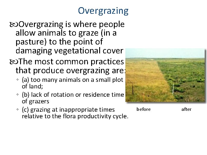 Overgrazing is where people allow animals to graze (in a pasture) to the point Overgrazing is where people allow animals to graze (in a pasture) to the point