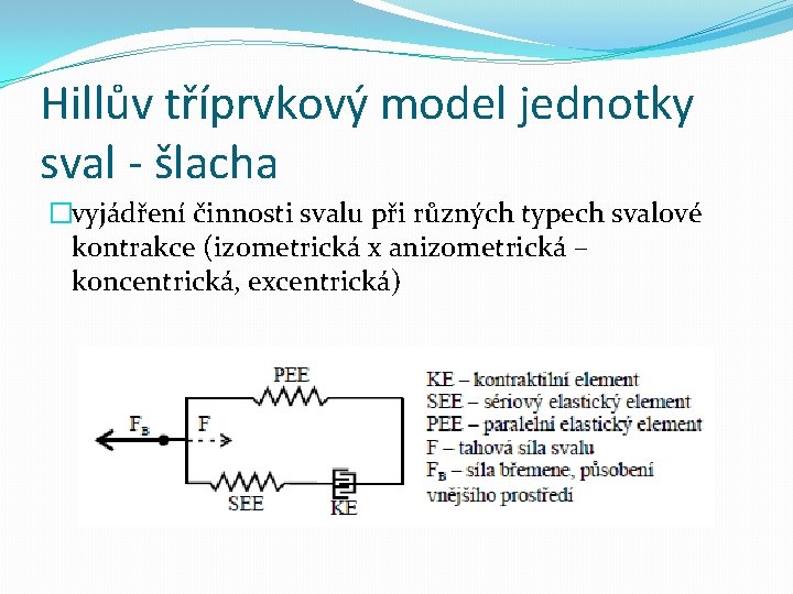 Hillův tříprvkový model jednotky sval - šlacha �vyjádření činnosti svalu při různých typech svalové