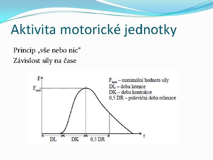 Aktivita motorické jednotky Princip „vše nebo nic“ Závislost síly na čase 