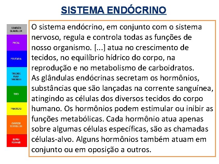 SISTEMA ENDÓCRINO O sistema endócrino, em conjunto com o sistema nervoso, regula e controla