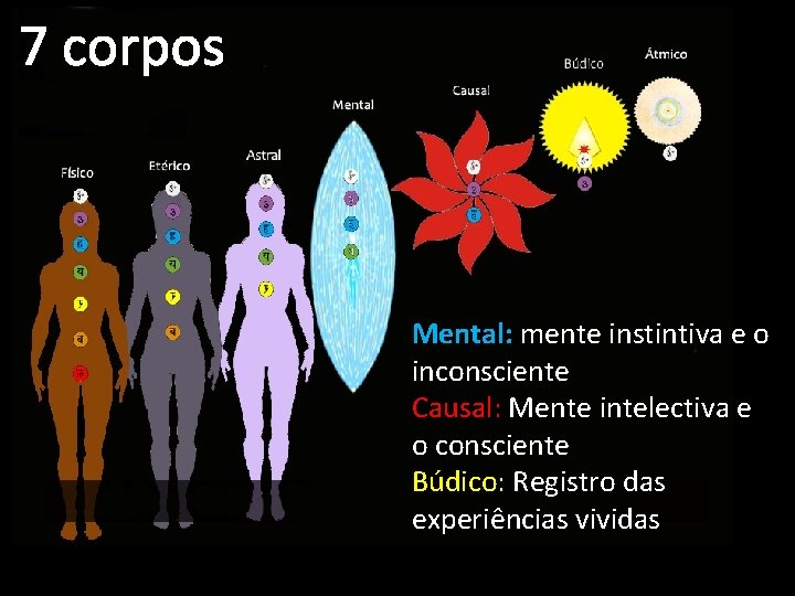 7 corpos Mental: mente instintiva e o inconsciente Causal: Mente intelectiva e o consciente