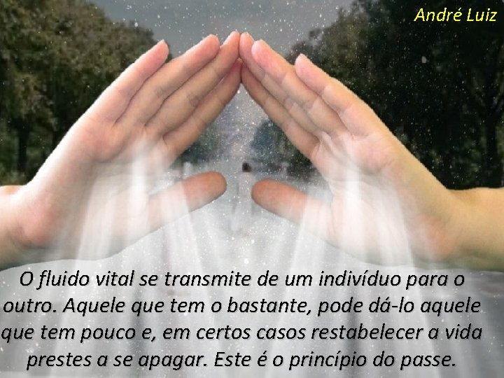 André Luiz O fluido vital se transmite de um indivíduo para o outro. Aquele