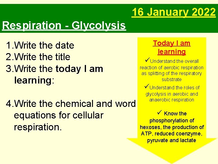 16 January 2022 Respiration - Glycolysis 1. Write the date 2. Write the title 16 January 2022 Respiration - Glycolysis 1. Write the date 2. Write the title